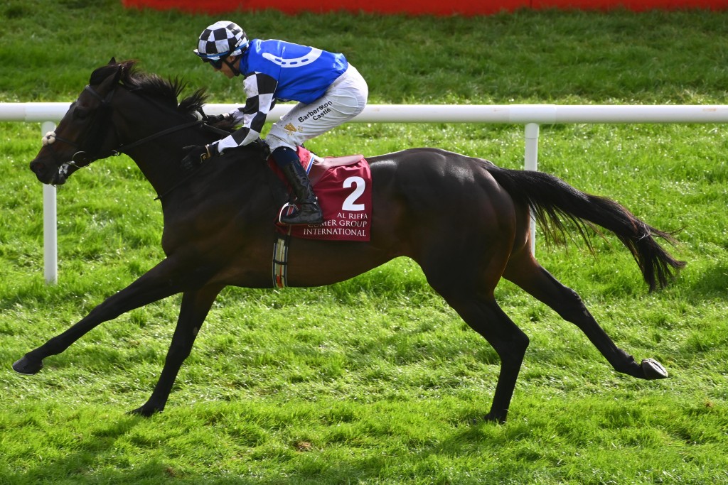 「班霸實力」是三項一級賽盟主。