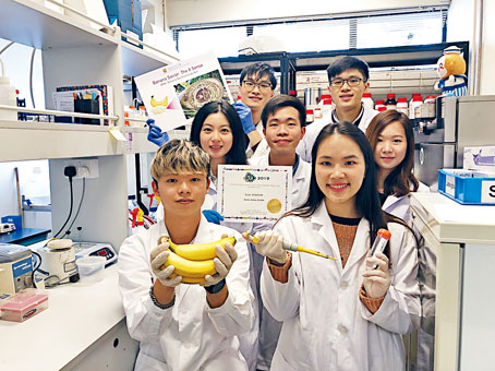 梁曦文（后排左）指，野油菜黄单胞菌潜伏期长，难以察觉，故一旦发现一株蕉树染病，只能烧毁整片农田阻止扩散。