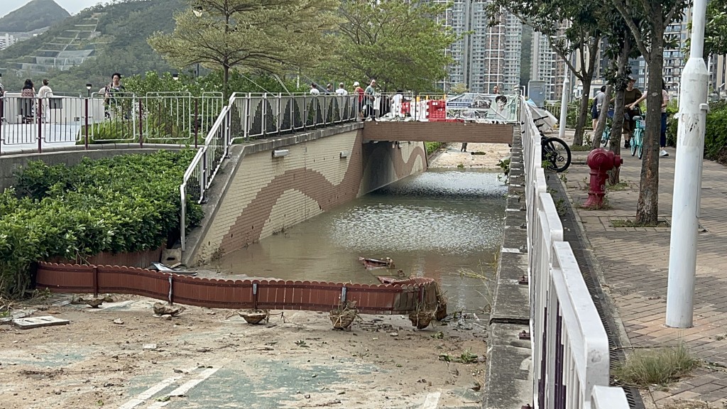 單車隧滿積滿水。楊偉亨攝