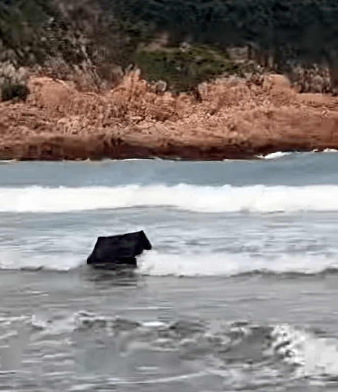 內藏紅雙囍香煙的紙箱隨浪漂浮。網片截圖