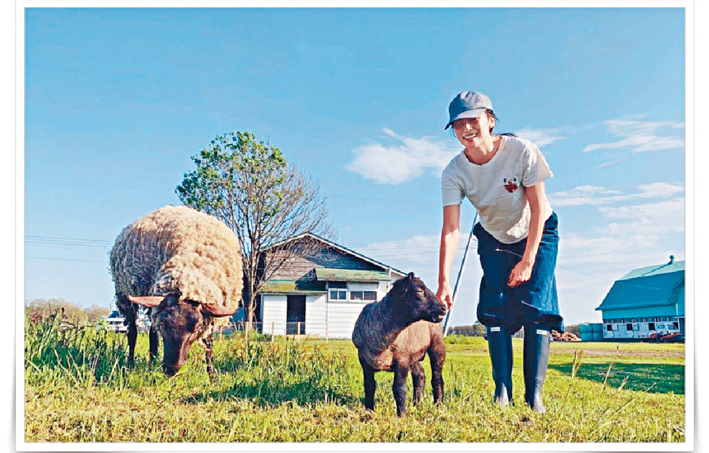 ■柴咲幸近年在北海道開牧場做生意,生活寫意。