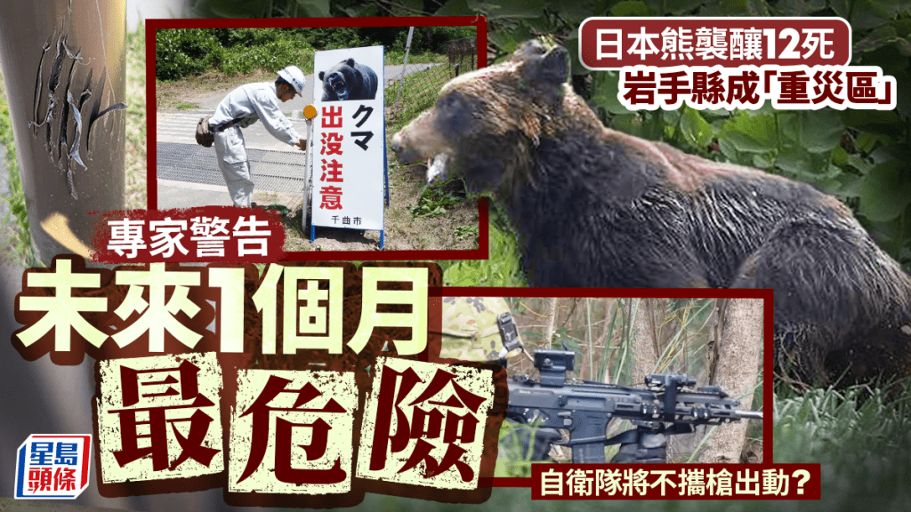 日本熊出沒 | 今年熊襲已釀12死 岩手獨居男與愛犬雙亡 自衛隊將不攜槍出動