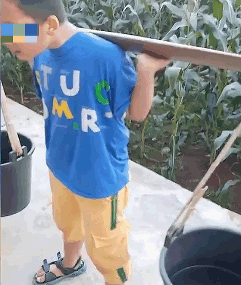 孩子邊挑糞邊哭著大喊。網圖