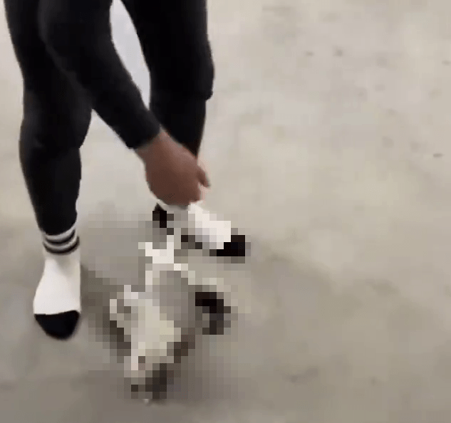 冷血教官手將貓摔下來的畫面。 冷血教官手將貓摔下來的畫面。