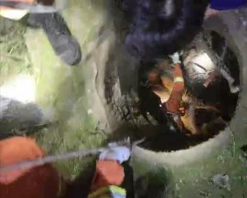 消防進入地窖將兩人救出。網圖
