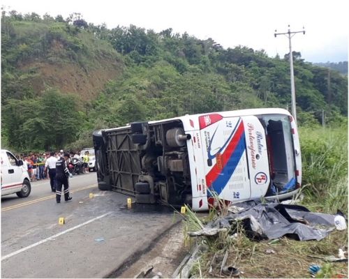  巴士在一個急彎處突然衝出路面失事側翻。新華社 