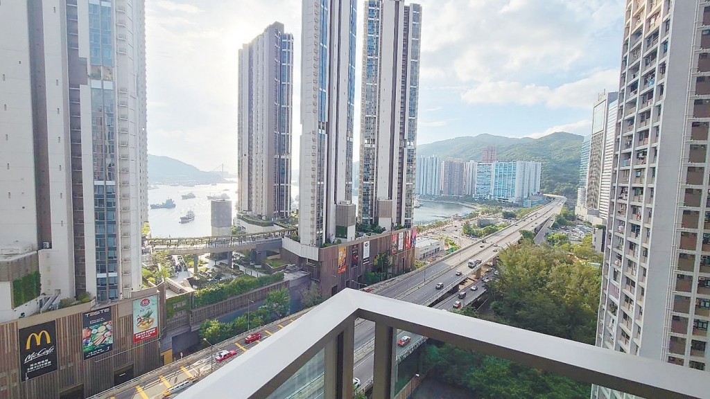 單位露台外望海之戀及部分海景。