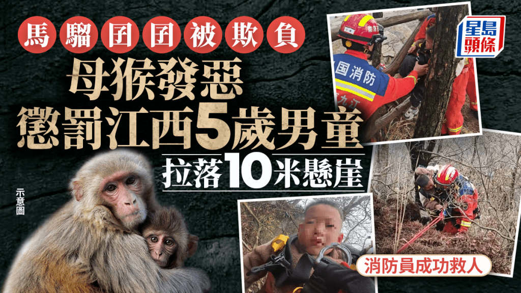 大懲罰︱江西5歲童「蝦」馬騮仔  護子母猴發惡拉落10米懸崖︱有片