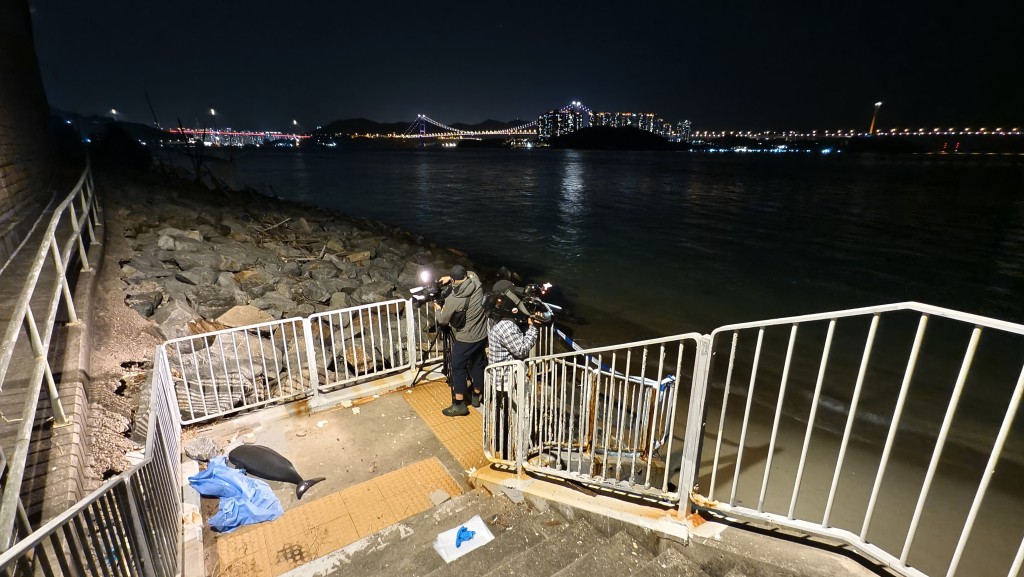 現場為青龍頭近青龍灣。