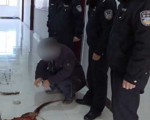 貴州男因捕獵國家保護動物,被警方刑事拘留。網上圖片