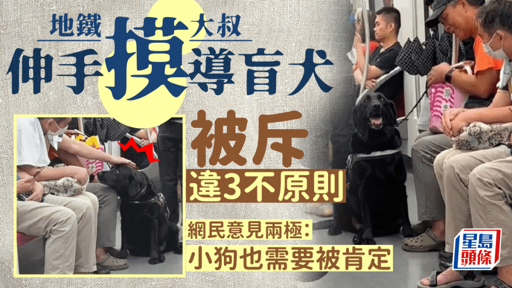 導盲犬陪視障者搭地鐵，被隔壁大叔摸頭。人民視頻