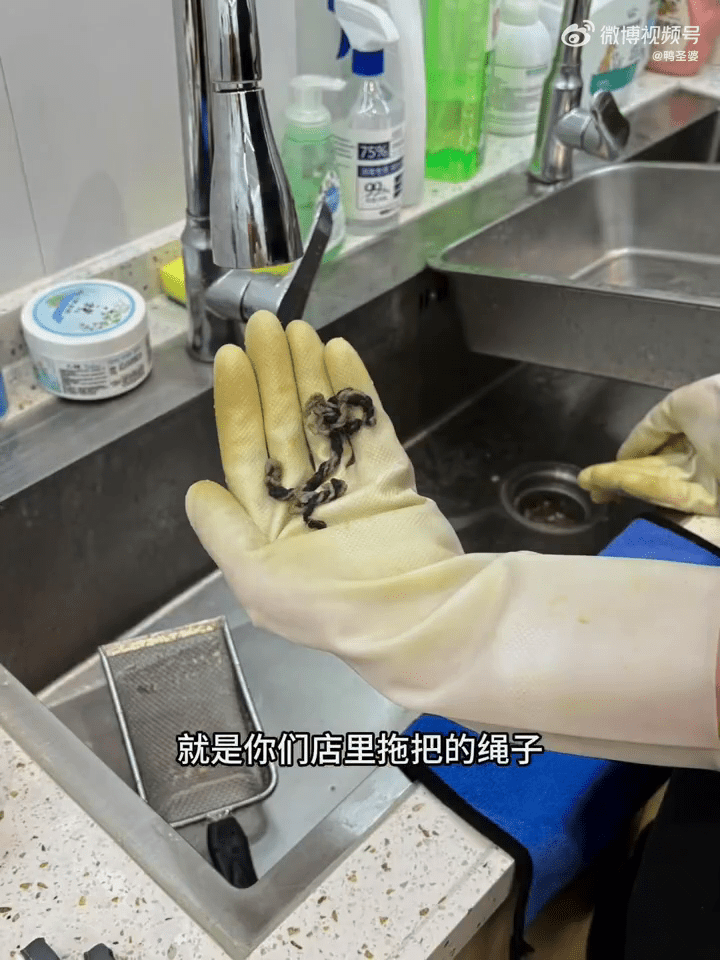 狗主稱金毛犬體內有疑似涉事餐館地掃把的繩子。 狗主稱金毛犬體內有疑似涉事餐館地掃把的繩子。