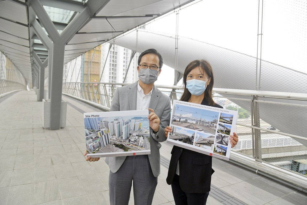 黃至中指,天橋採用拱橋與桁架結構,以克服天橋長跨度而缺少中段支撐的限制。
