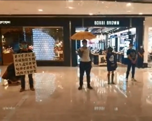 網民發起和你sing。高登影片截圖