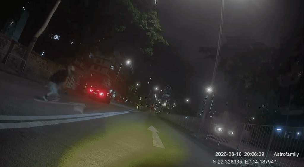 鐵騎士停車後,在路中追逐小狗。Facebook 車cam L(香港群組)影片截圖 鐵騎士停車後,在路中追逐小狗。Facebook 車cam L(香港群組)影片截圖
