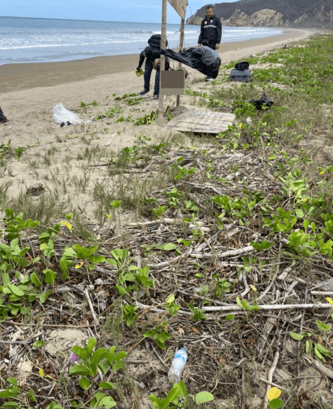 洛佩斯港海灘本是觀鯨勝地，因慘案卻變成血腥刑場。X@NoticieroSLV