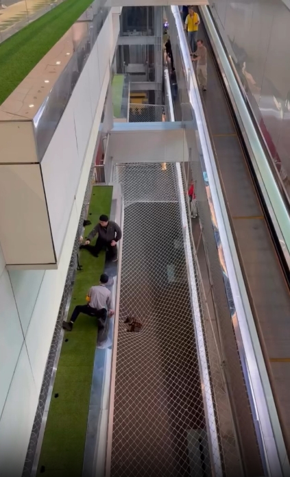 7歲男童掉落安全網。 爆料公社