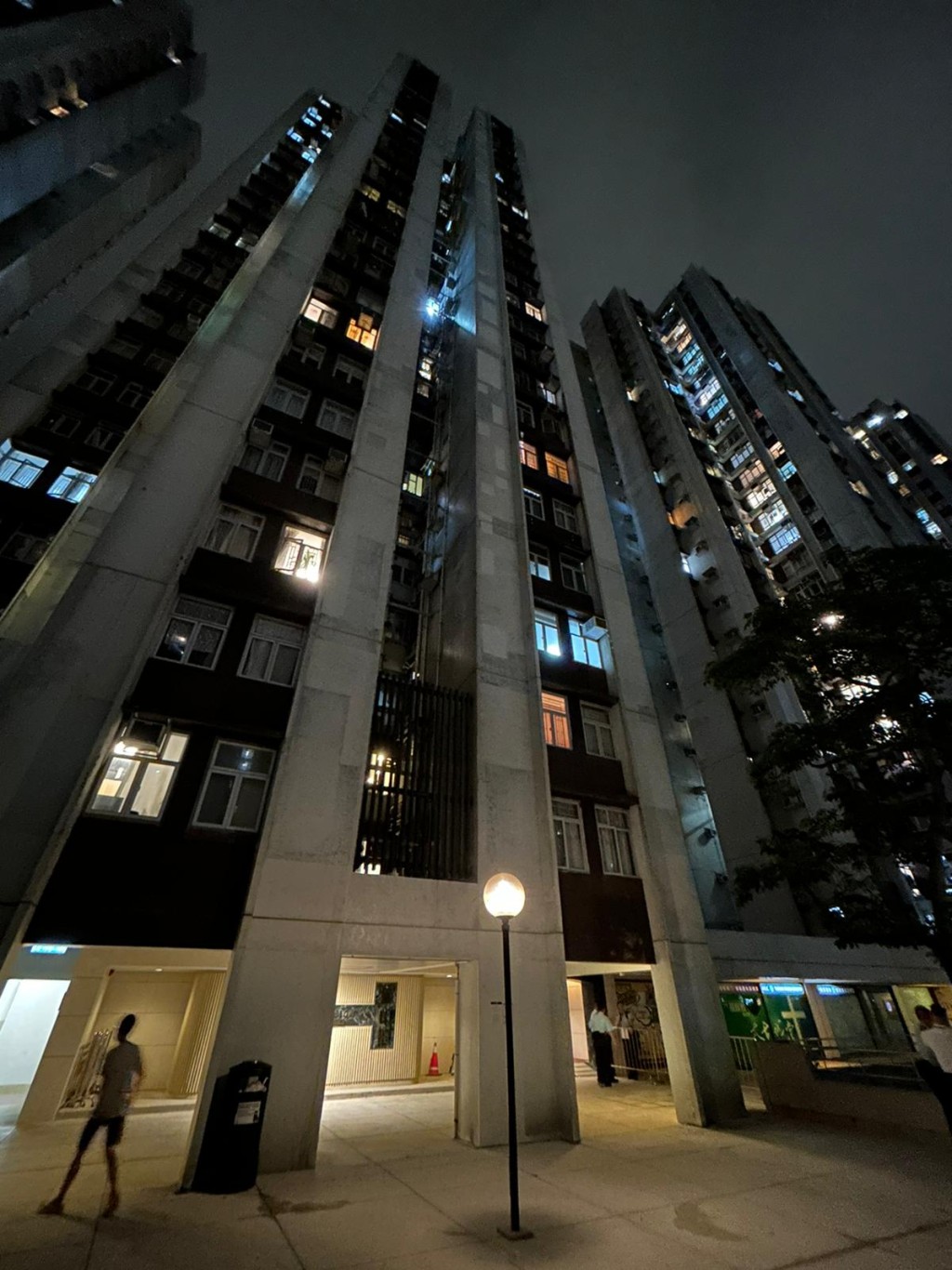 陳文宜促請當局進行跨部門檢討,以優化現有機制。資料圖片 陳文宜促請當局進行跨部門檢討,以優化現有機制。資料圖片