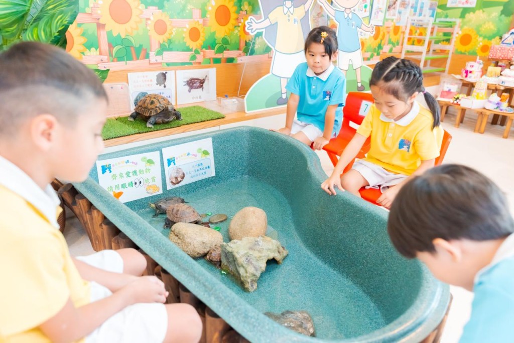 孩子在寵愛閣學會分工合作並輪流餵飼小動物。