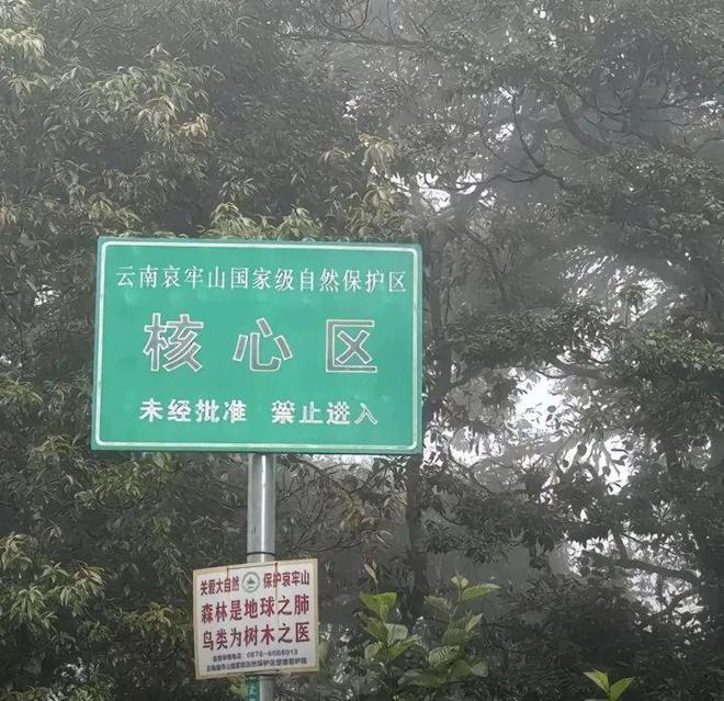 哀牢山内的道路亦有警告标语。（网络图片）