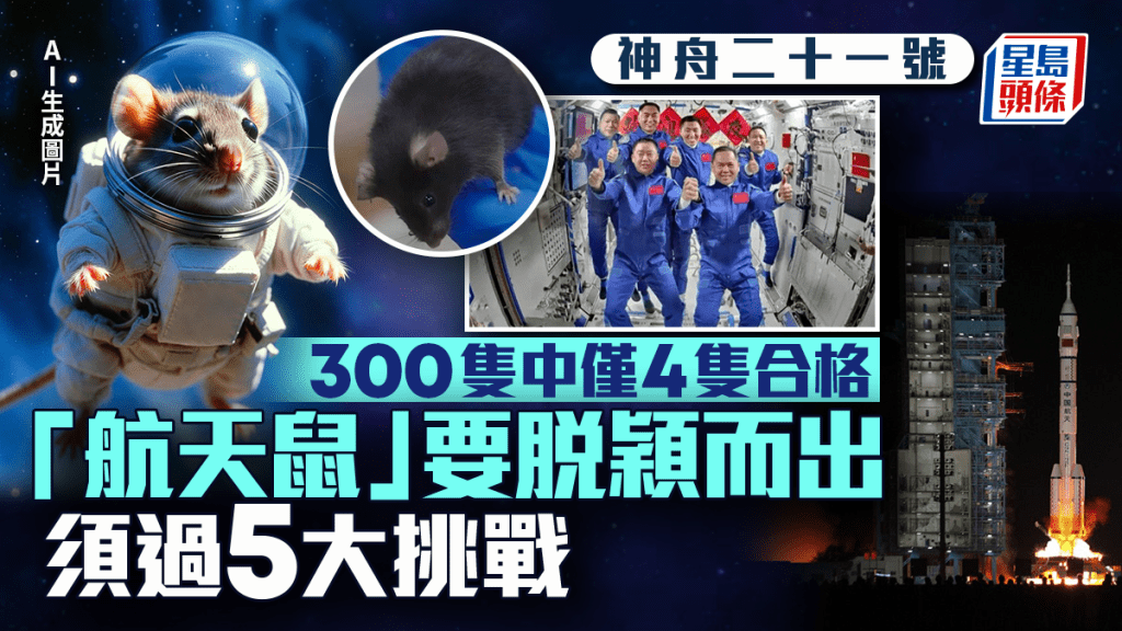 神舟二十一號|「四鼠」百里挑一 通過體能心理關