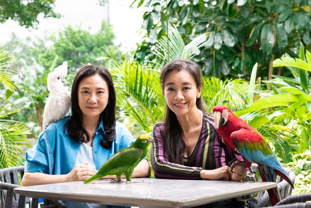 郭秀云近年曾与立法会议员葛佩帆拍片，呼吁保护鹦鹉。