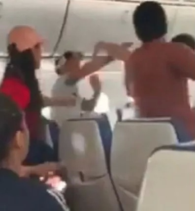 網圖。