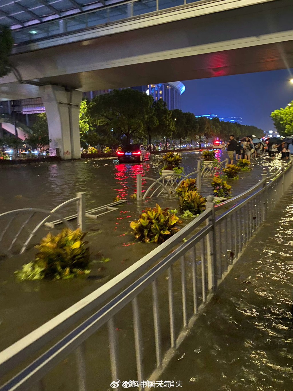 上海多處道路水浸成河。 微博