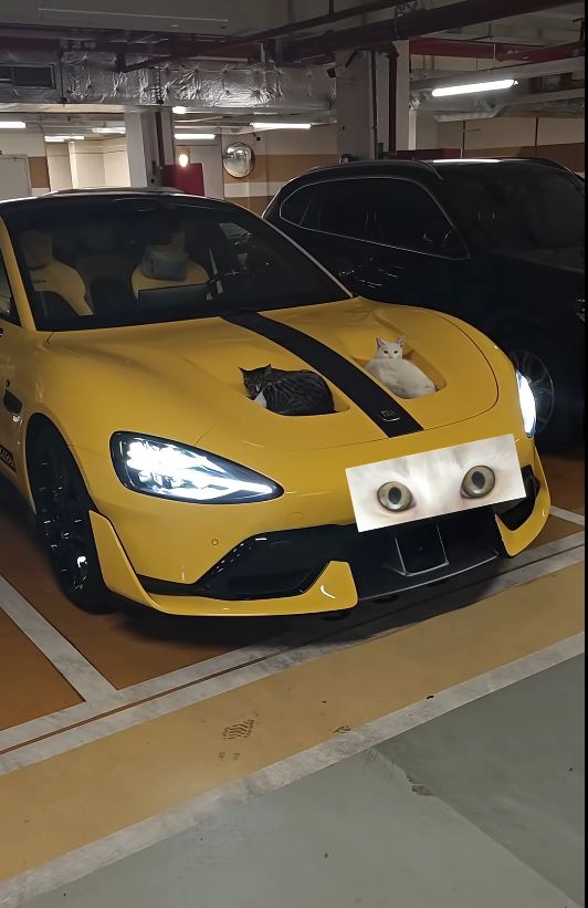 小米SU7 Ultra車頭冚的雙凹位變完美貓窩。小紅書