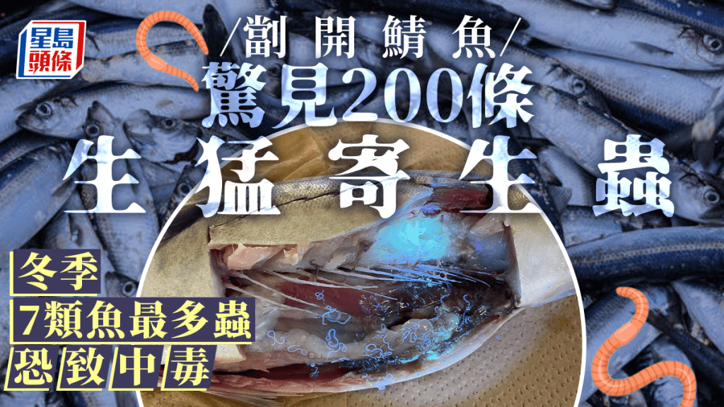 劏開鯖魚驚見200條寄生蟲蠕動 專家揭冬季7類魚極高危恐致中毒 附清除方法