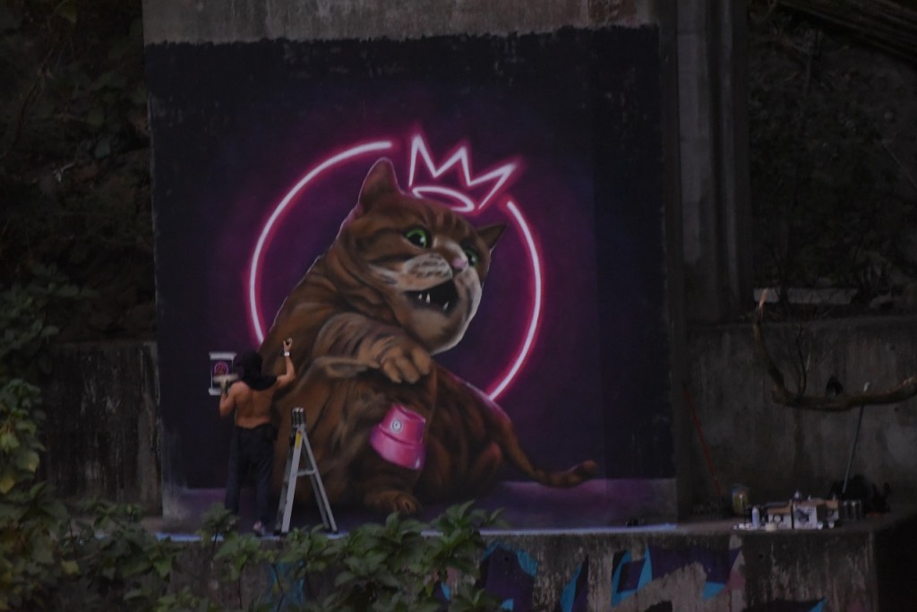 俄羅斯塗鴉藝術家Vladimir在屯門公路汀九段對開橋墩創作新的貓咪塗鴉作品。(尹敬堂攝)