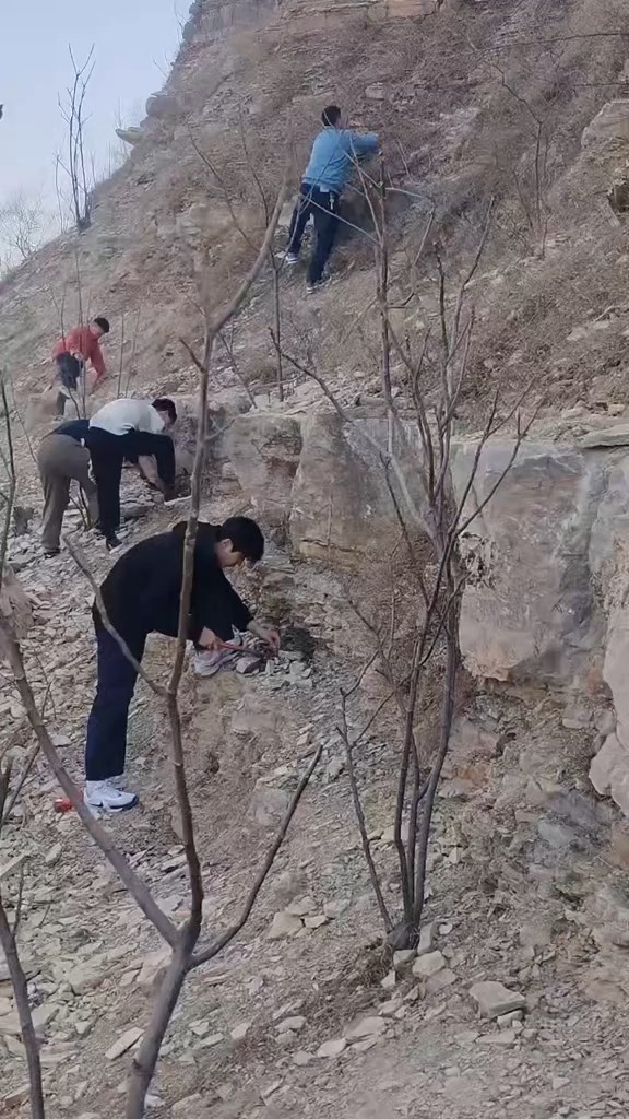 声称挖掘到三叶虫化石消息传出，即有大批民众到场搜挖。抖音@北方流云