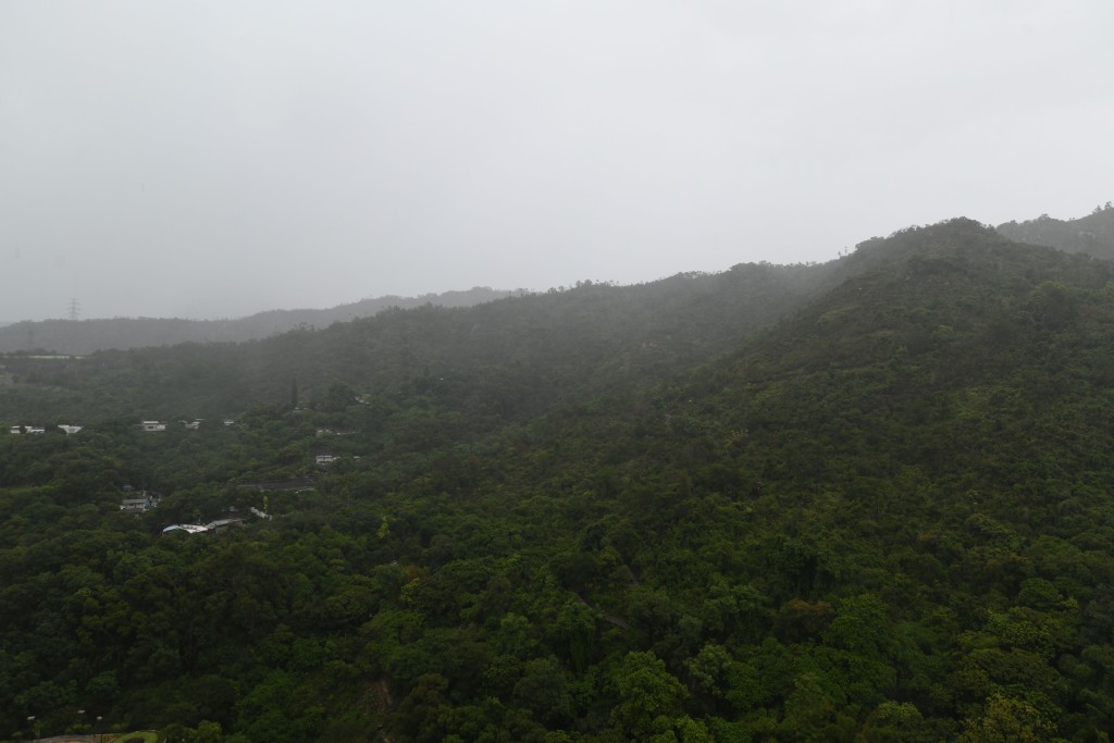 單位外望大欖郊野公園一帶群山,綠意盎然。