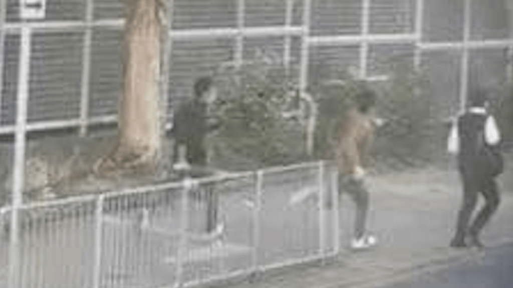 大埔廣福邨昨日(27日)發生持刀追斬案。
