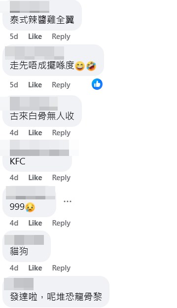 facebook截圖（資料來源：Patty Lee＠facebook將軍澳主場）