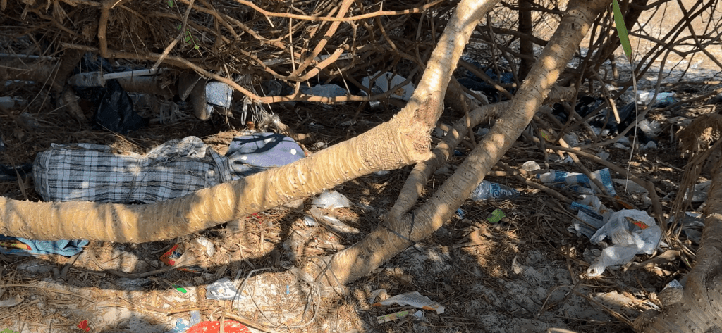 Desmond更見到不少垃圾被棄置在樹叢內，難以清理。YouTube頻道《全職路人》提供