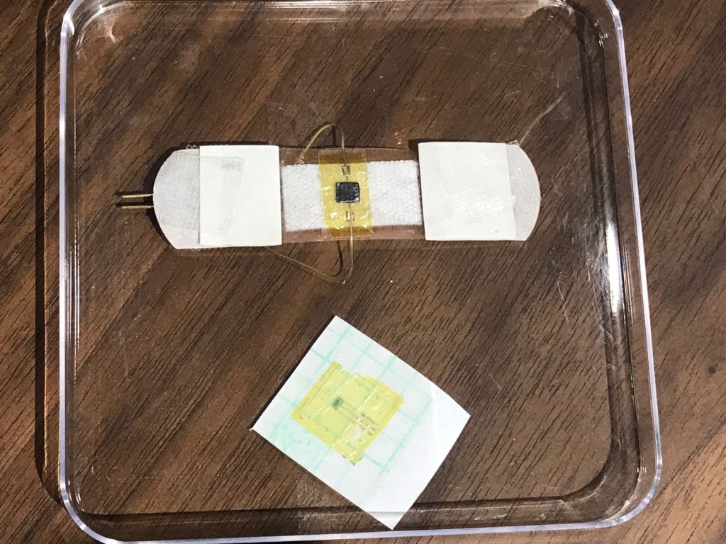 預料將於5年內推出,售價1600港元。