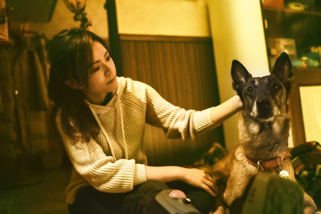 睇動物做戲睇極唔厭。