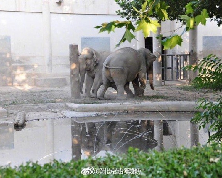 網圖