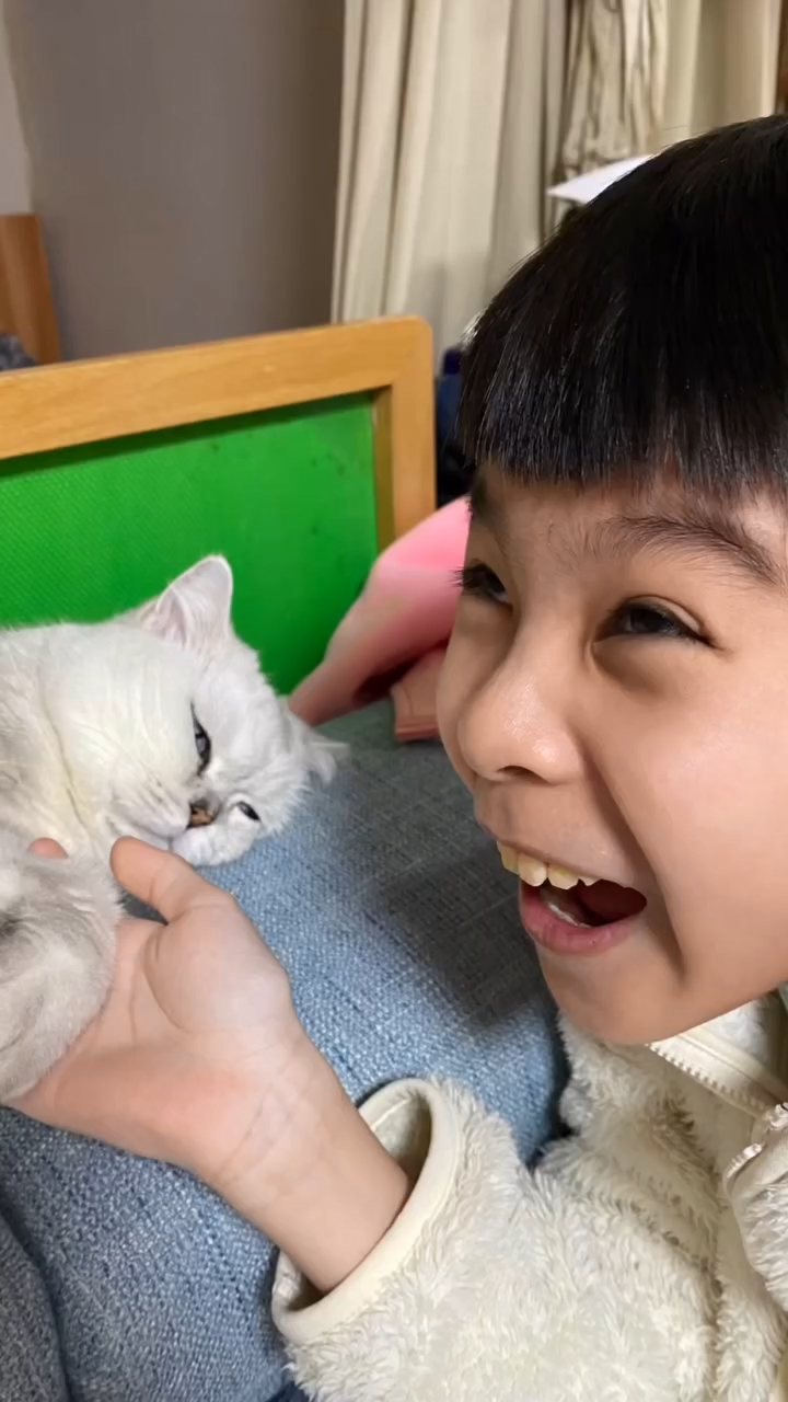 兩姊弟一樣鍾意貓。