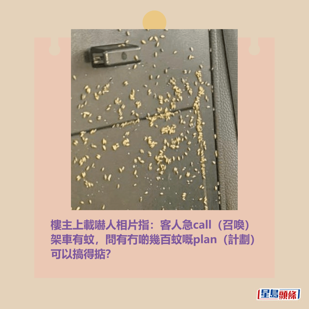 樓主上載嚇人相片指:客人急call(召喚) 架車有蚊,問有冇啲幾百蚊嘅plan(計劃) 可以搞得掂?Threads截圖 樓主上載嚇人相片指:客人急call(召喚) 架車有蚊,問有冇啲幾百蚊嘅plan(計劃) 可以搞得掂?Threads截圖