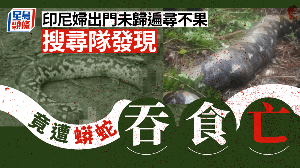 印尼一名女子外出工作後沒有回家，經一輪搜查後被發現遭蟒蛇吃掉。網上圖