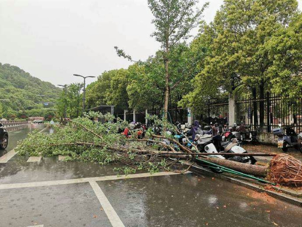 江西抚州周二出现12级雷雨大风天气，风力强如台风。
