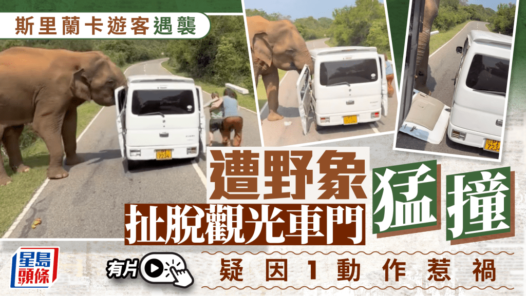 斯里蘭卡遊客疑一動作惹野象攻擊 抬起扯脫觀光車門猛撞 11歲童赤腳逃命