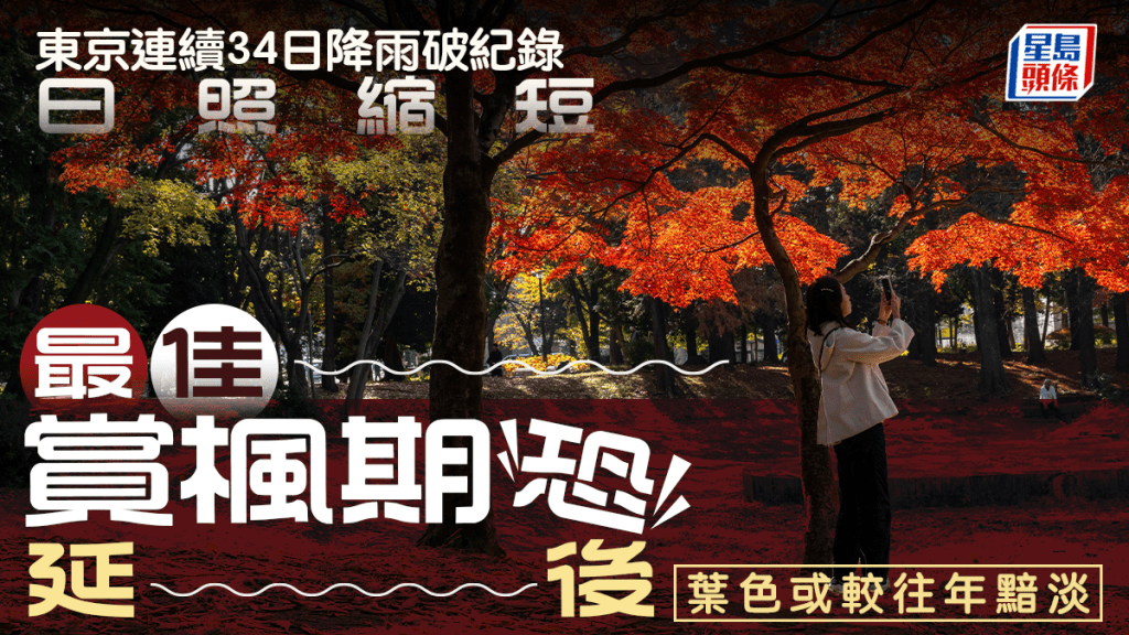 遊日注意｜東京連續34日降雨破140年紀錄 日照縮短賞楓季恐延後