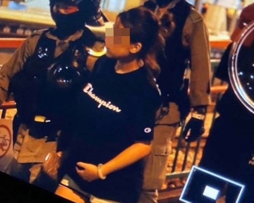 一名孕婦被捕。 網圖