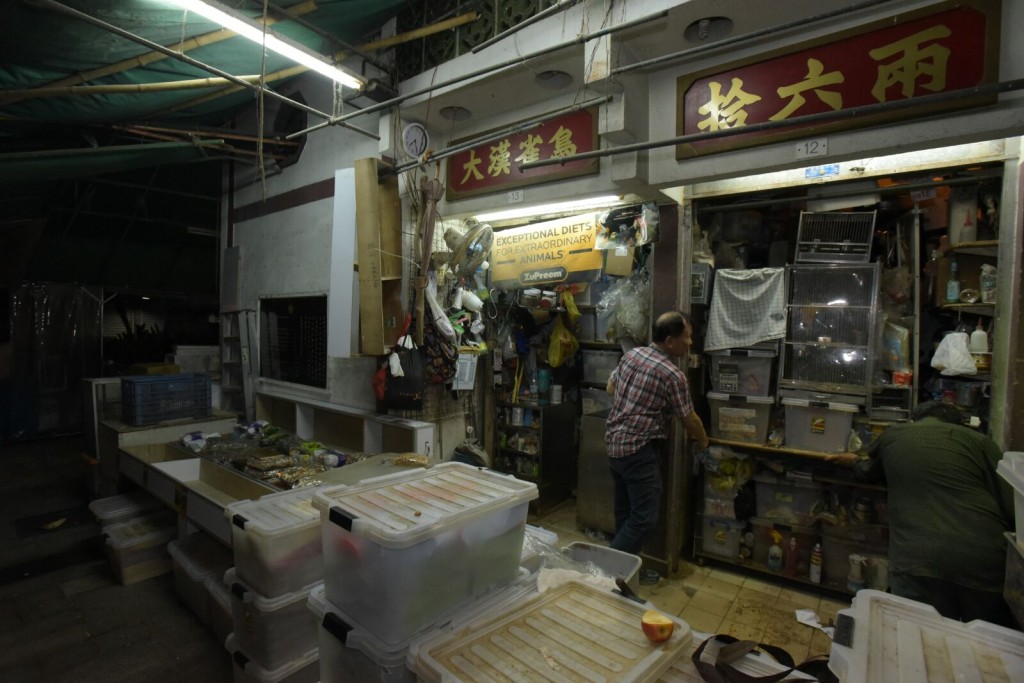 涉事的寵物店。黃文威攝