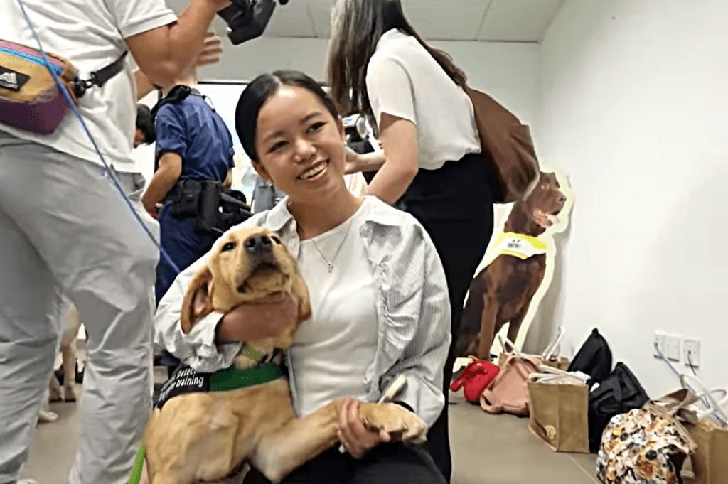 8隻搜查犬BB活潑可愛。海關影片截圖