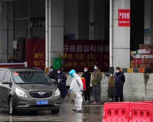 世衞专家组访武汉白沙洲市场。AP