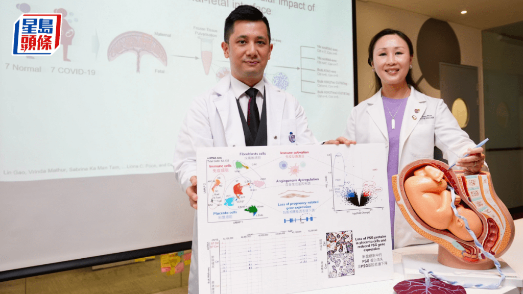 研究團隊由科大生命科學部副教授、科大表觀基因組研究中心主任梁子宇 （左）及中大醫學院婦產科學系系主任潘昭頤（右）領導。科大圖片